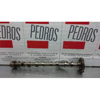 ARBOL DE LEVAS M9R A361071806.11 00000174C071