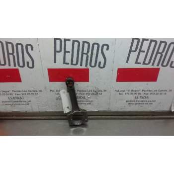 BIELA 