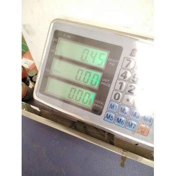 Recambio de piloto trasero izquierdo paragolpes para nissan terrano/terrano.ii (r20) referencia OEM IAM 265551F100 INGLES DEFECT