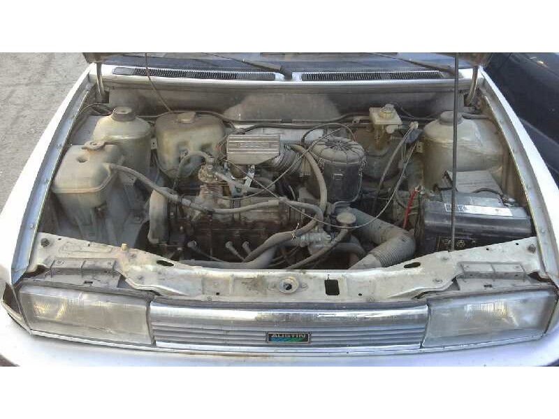 austin maestro del año 1986