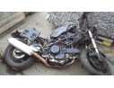 DUCATI MONSTER