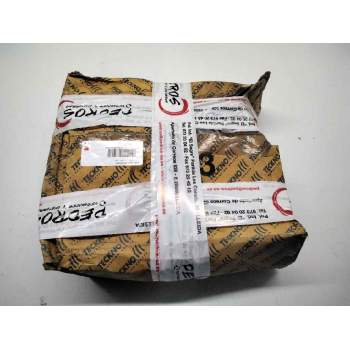 DISCO FRENO DELANTERO 569042 