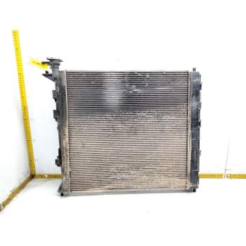 RADIADOR AGUA 253102Y000 