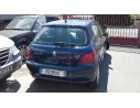 PEUGEOT 307 (S1)