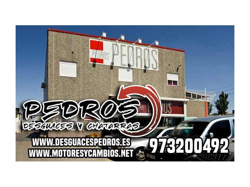 Recambio de motor completo para pegaso 1234 t tecno referencia OEM IAM DO826 GF FOTOS 