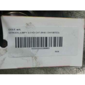 Recambio de cigueñal para citroën jumpy 2.0 hdi cat (rhx / dw10bted) referencia OEM IAM 300  