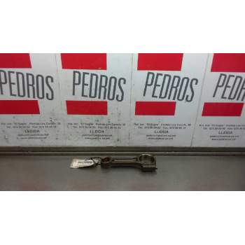 BIELA 