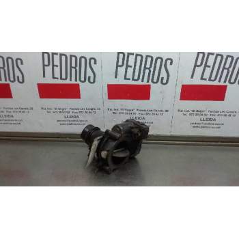 CUERPO DE MARIPOSA A6510900470 
