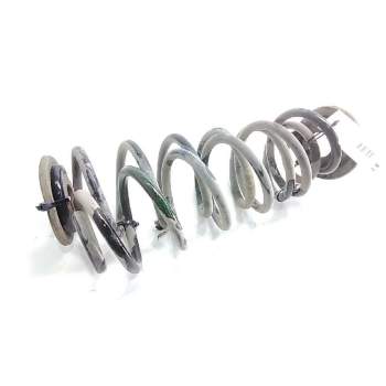 MUELLE SUSPENSION TRASERA 