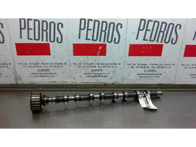Recambio de arbol de levas para renault laguna ii (bg0) privilege referencia OEM IAM   