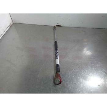 AMORTIGUADORES MALETERO / PORTON 22550