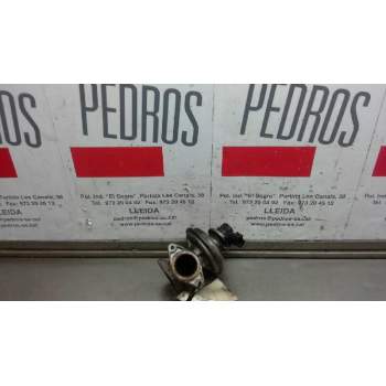 VALVULA EGR 