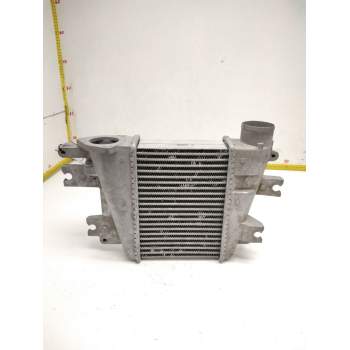 Recambio de intercooler para nissan terrano/terrano.ii (r20) 3.0 td cat referencia OEM IAM 14461UC106 NISSAN 