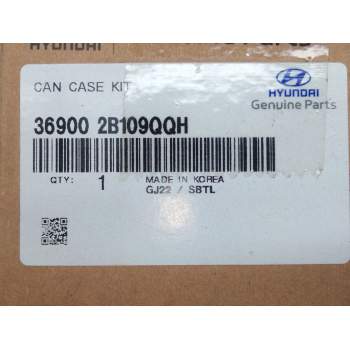 Recambio de bomba agua electrica para hyundai ioniq (ae) 1.6 gdi hybrid referencia OEM IAM 2B109QQH  