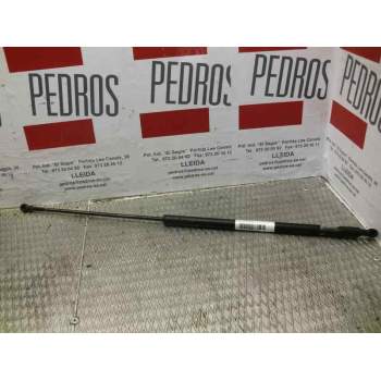 AMORTIGUADOR CAPO 95070