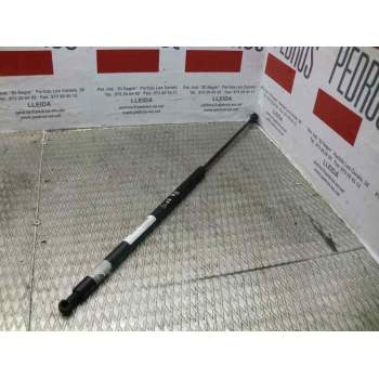 AMORTIGUADOR CAPO 95070