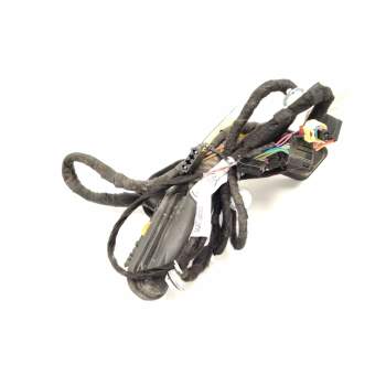INSTALACION ELECTRICA PUERTA DELANTERA DERECHA BB00G23 