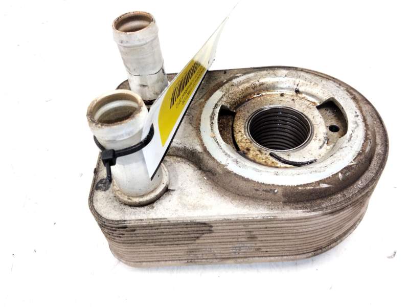 Recambio de enfriador aceite motor para ford focus iii 1.0 ecoboost referencia OEM IAM CM5G6B856FA  