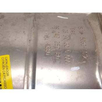 Recambio de catalizador para citroën c4 picasso ii 2.0 bluehdi 150 referencia OEM IAM 9804925980  