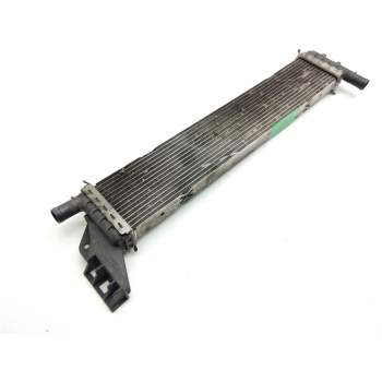 RADIADOR AGUA 21408831R 