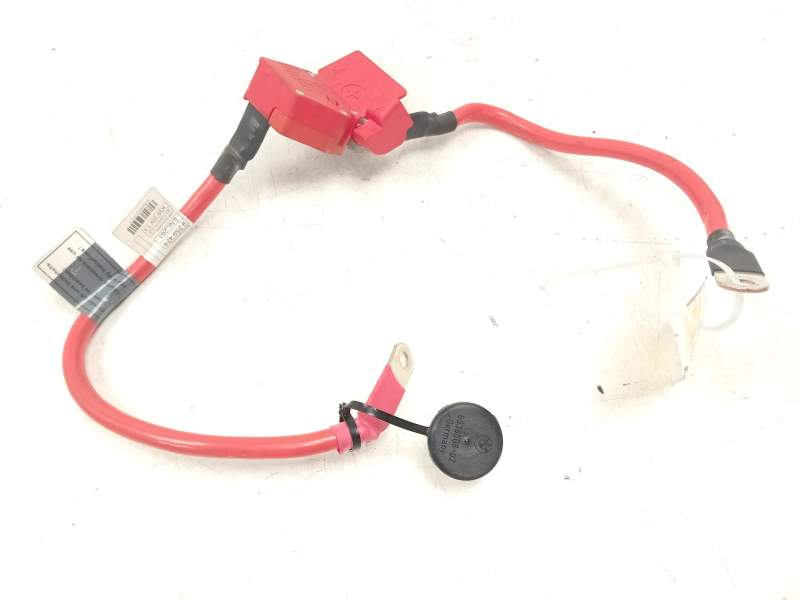 Recambio de fusible bateria para bmw 3 touring (f31) 318 d referencia OEM IAM 925942502  