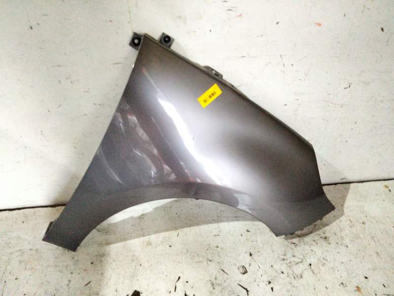 Recambio de aleta delantera derecha para renault grand scénic iii (jz0/1_) 1.5 dci referencia OEM IAM 631004270R  