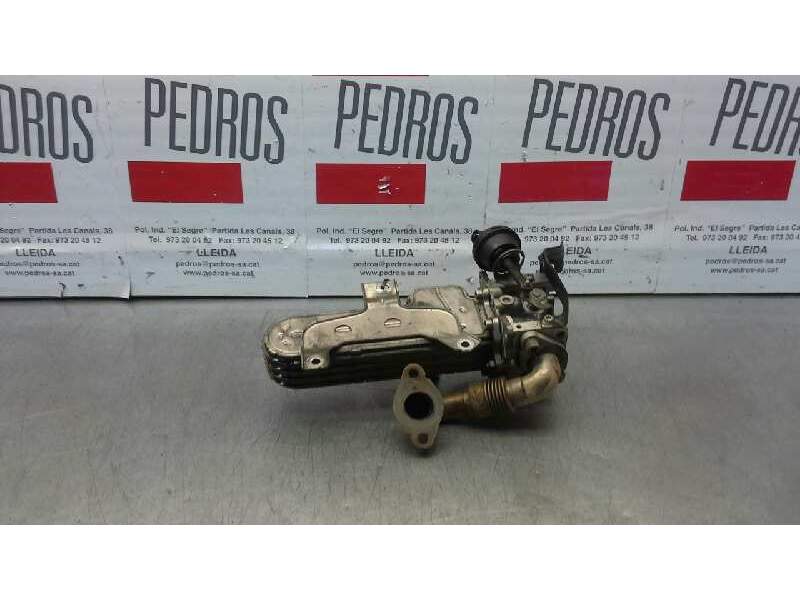Recambio de enfriador de gases para volkswagen jetta (1k2) trendline referencia OEM IAM 038131513AD  