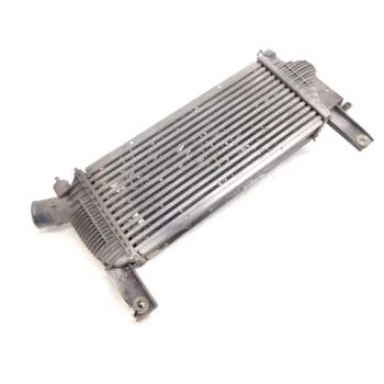 Recambio de intercooler para nissan pathfinder iii (r51) 2.5 dci 4wd referencia OEM IAM 14461EB360  