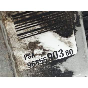 Recambio de bomba direccion para citroën c4 berlina 1.6 16v cat (nfu / tu5jp4) referencia OEM IAM 9685690380  