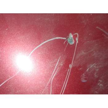 Recambio de paragolpes trasero para nissan pulsar hatchback (c13) 1.2 dig-t referencia OEM IAM   