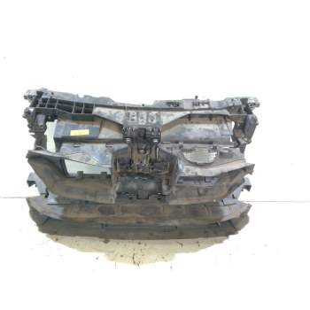 PANEL FRONTAL 625001098R 