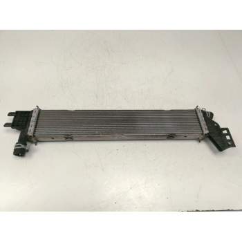 RADIADOR AGUA 214108831R 