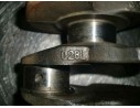 CIGUEÑAL 028C 100262
