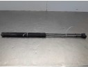 AMORTIGUADORES MALETERO / PORTON 8731E3 