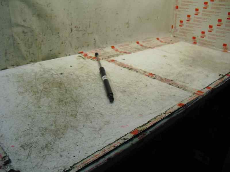 Recambio de amortiguadores maletero / porton para renault clio iii 1.5 dci diesel referencia OEM IAM   