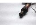 SONDA LAMBDA 06A906262 0258006229/230 