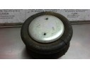 PULMON SUSPENSION 11120002 367340032 