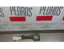 BIELA 281 
