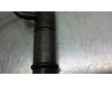 INYECTOR 1660069T62 