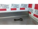 BIELA 