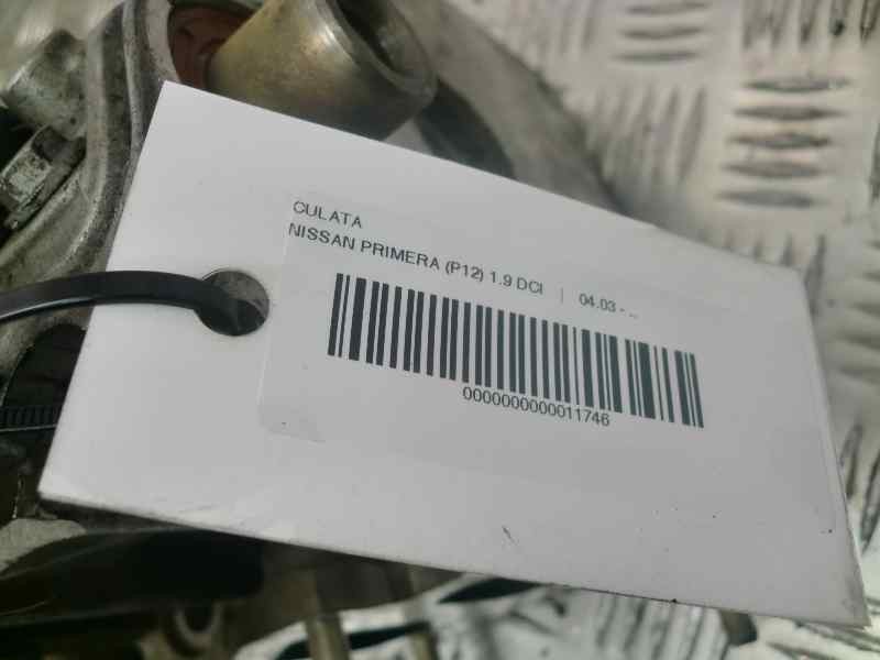 Recambio de culata para nissan primera berlina (p12) 1.9 16v turbodiesel cat referencia OEM IAM FDP  109203