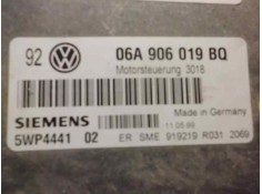 Recambio de centralita motor uce para volkswagen golf iv berlina (1j1) spirit referencia OEM IAM 5WP4441 155  2