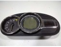 CUADRO INSTRUMENTOS RN248100053R 