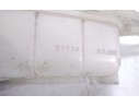 DEPOSITO EXPANSION 21710AX300 110006