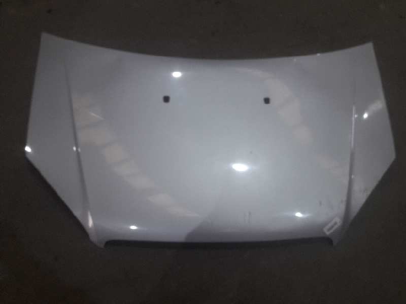 Recambio de capot para fiat doblo (119) 1.9 8v multijet active com. (77kw) referencia OEM IAM   