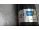 AMORTIGUADOR TRASERO IZQUIERDO B461707 