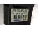 MANDO LIMPIA 96172873ZL 