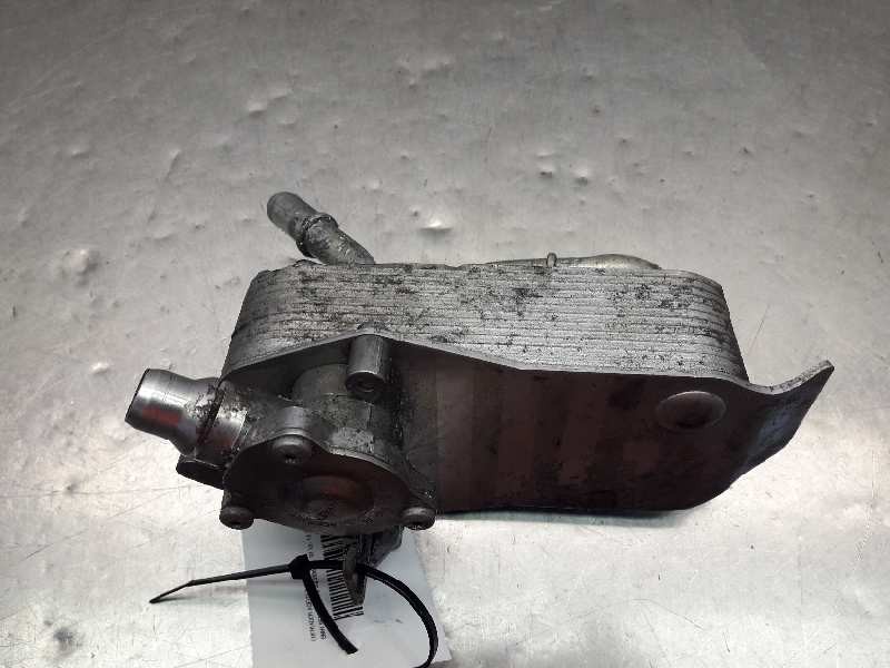 Recambio de enfriador aceite motor para bmw serie 3 berlina (e90) 330d referencia OEM IAM   