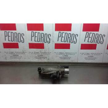CUERPO DE MARIPOSA 08226807 