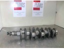 CIGUEÑAL 024041 11726